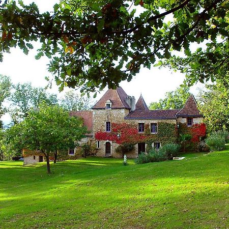 Le Manoir Du Rocher Domme Exterior foto
