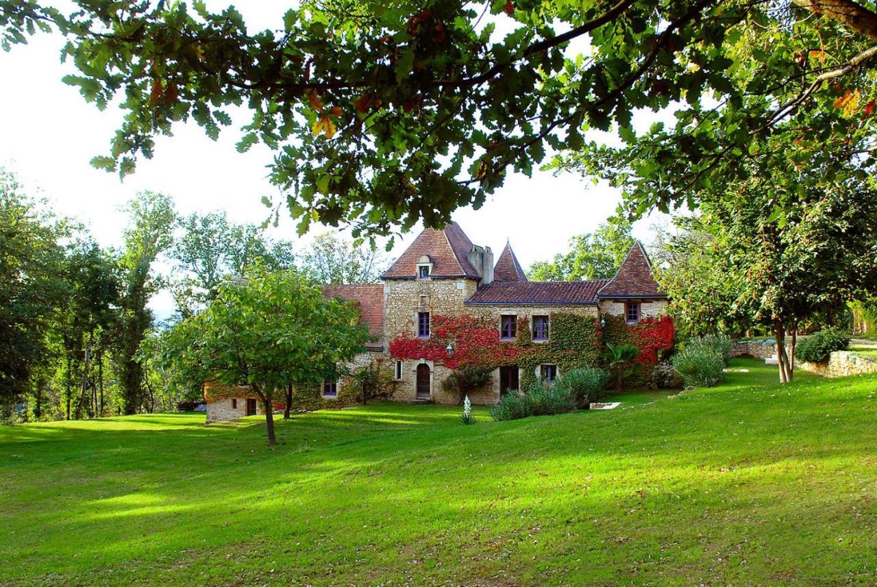 Le Manoir Du Rocher Domme Exterior foto