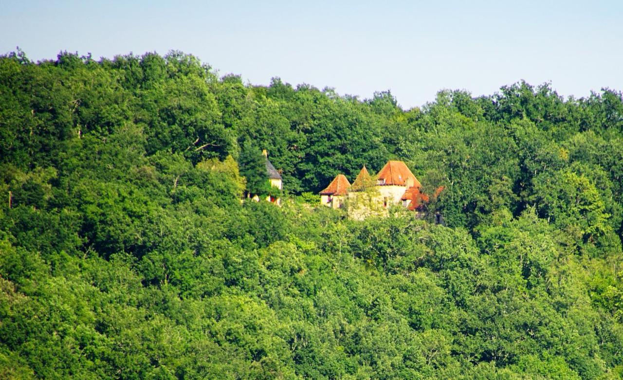 Le Manoir Du Rocher Domme Exterior foto
